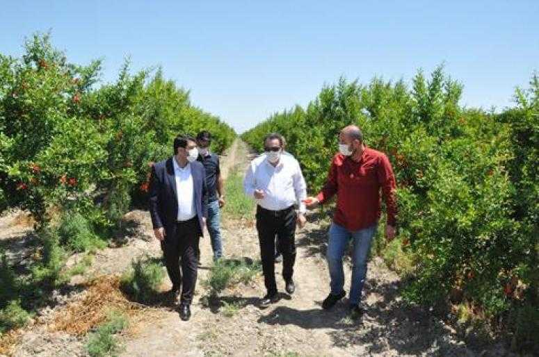 Abdullah Doğru hükümetin tarım yatırımlarını değerlendirdi